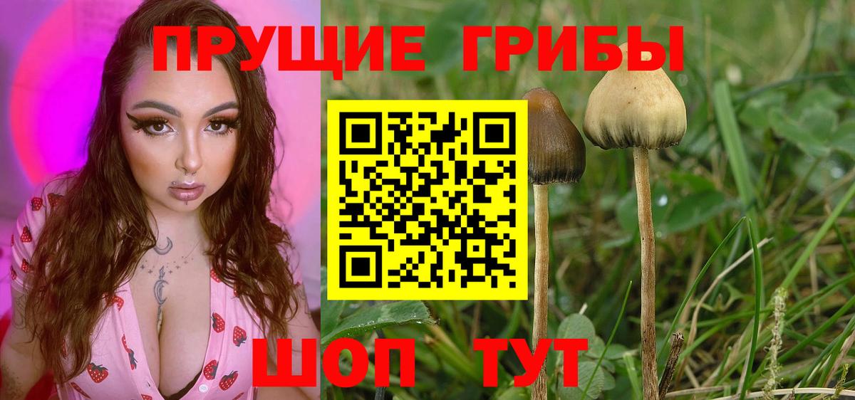 Псилоцибиновые грибы ЛСД Красноперекопск